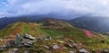 Panoramic view in lawn with rhododendron flowers grow at the rocks. Summer scenery. Majestic photo of mountain landscape.