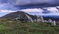 Panoramic view in lawn with rhododendron flowers. Mountains landscapes. Concept of nature rebirth. Save Earth. Amazing summer day Royalty Free Stock Photo