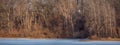 Panoramic view of leafless trees by the lake during spring time Royalty Free Stock Photo