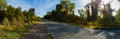 Panoramic view of levee road in Sacramento delta with trees covered with vines in fall Royalty Free Stock Photo