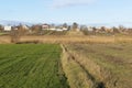 Panoramic view of lines of young shoots on big green field. Plowed agricultural field ready for seed sowing, planting