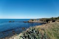 Panoramic view of Livorno coast in summer . Tuscany, Italy