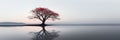 Panoramic view of lone tree in water, minimalist landscape with lake background, peaceful nature in autumn. Concept of art, beauty Royalty Free Stock Photo