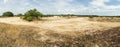Panoramic view of the Loonse and Drunense sand dunes Royalty Free Stock Photo