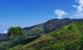 panoramic view of lush green palani mountain range from kodaikanal hill station in tamilnadu, india Royalty Free Stock Photo