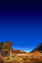 Panoramic view of magical colorful fairytale forest at Tierra del Fuego National Park with a lonely hiker, Patagonia, Argentina, Royalty Free Stock Photo