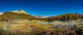 Panoramic view of magical colorful fairytale forest at Tierra del Fuego National Park, Patagonia, Argentina, Autumn time, blue sky Royalty Free Stock Photo