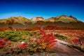 Panoramic view of magical colorful fairytale forest at Tierra del Fuego National Park in Patagonia, Argentina Royalty Free Stock Photo