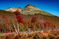 Panoramic view of magical colorful fairytale forest at Tierra del Fuego National Park in Patagonia, Argentina Royalty Free Stock Photo