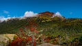 Panoramic view of magical colorful fairytale forest at Tierra del Fuego National Park in Patagonia, Argentina, golden Autumn time Royalty Free Stock Photo