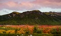 Panoramic view of magical colorful fairytale forest at Tierra del Fuego National Park in Patagonia, Argentina, golden Autumn time Royalty Free Stock Photo