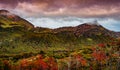 Panoramic view of magical colorful fairytale forest at Tierra del Fuego National Park in Patagonia, Argentina, golden Autumn time Royalty Free Stock Photo