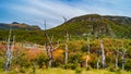 Panoramic view of magical colorful fairytale forest at Tierra del Fuego National Park, Patagonia, Argentina Royalty Free Stock Photo