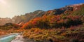 Panoramic view of magical colorful fairytale forest at Tierra del Fuego National Park under direct sun light, Patagonia, Argentina Royalty Free Stock Photo