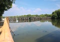 panoramic view of mangrove swamp forest Royalty Free Stock Photo