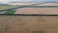 Panoramic view many fields with mature ripe wheat and green agricultural plants Royalty Free Stock Photo