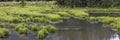 Panoramic view of marsh lands by slate river Colorado