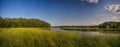 Panoramic view of marshland landscape in Ontario`s Royal Botanic