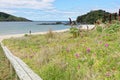 Panoramic view of Matai Bay in karikari peninsula in New Zealand Royalty Free Stock Photo