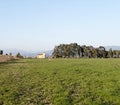 panoramic view of the meadow in luni Royalty Free Stock Photo