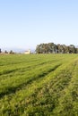 panoramic view of the meadow in luni Royalty Free Stock Photo