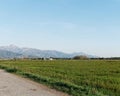 panoramic view of the meadow in luni Royalty Free Stock Photo