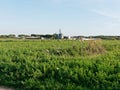 panoramic view of the meadow in luni Royalty Free Stock Photo