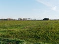 panoramic view of the meadow in luni Royalty Free Stock Photo
