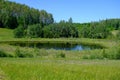 A panoramic view of a meadow with a small lake, a forest. some birch trees in the foreground. A very scenic meadow, a Royalty Free Stock Photo