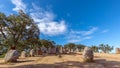 Panoramic view of the megalithic complex Almendres Cromlech Cromelelique dos Almendres Royalty Free Stock Photo