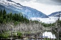 Panoramic view of Mendenhall Glacier Juneau Alaska Royalty Free Stock Photo