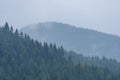 panoramic view of misty forest in mountain area