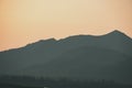 panoramic view of misty forest in western carpathian mountains. Royalty Free Stock Photo