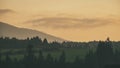 panoramic view of misty forest in western carpathian mountains. Royalty Free Stock Photo