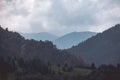 panoramic view of misty forest in western carpathian mountains. Royalty Free Stock Photo