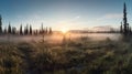 Panoramic view of misty meadow in the morning