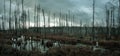 Panoramic view of a misty swamp