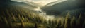 Panoramic view of misty valley in Carpathian mountains