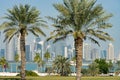 Panoramic view of modern skyline of Doha through blurred palm trees. Qatar on sunny day