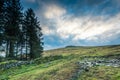 Panoramic view on moorland in Devon, UK Royalty Free Stock Photo