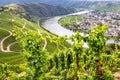 Panoramic view of Moselle loop with grapevines Royalty Free Stock Photo