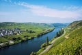 Vineyards of the Moselle Valley in Germany Royalty Free Stock Photo