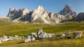 Panoramic view of mount Croda da Lago Royalty Free Stock Photo