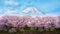 Panoramic view of Mount Fuji in Japan during the spring cherry blossom season. Royalty Free Stock Photo