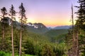 Panoramic view of Mount Rainier National Park