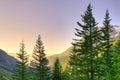 Panoramic view of Mount Rainier National Park