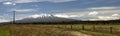 A panoramic view on Mount Ruapehu