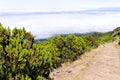 Panoramic view of an  mountain road above clouds Madeira Island, Portugal Royalty Free Stock Photo