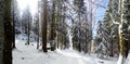 Panoramic view of a mountain roud on winter Royalty Free Stock Photo