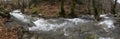 Panoramic view Mountainous rapid river with clear water in the forest in the mountains Dirfys on the island of Evia, Greece